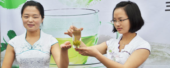 品岐陽(yáng)秀芽