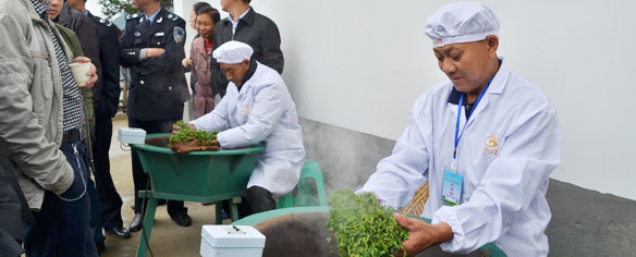 觀(guān)制茶工藝